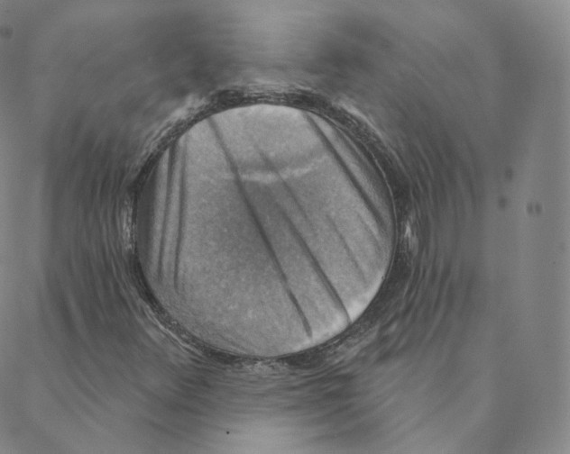 X0000088391348200706191322