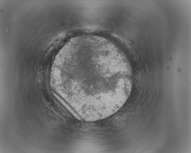 X0000088391349200706191322