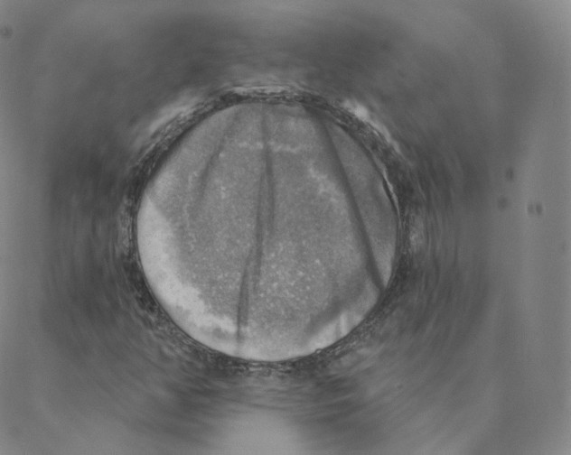 X0000088391350200706191322