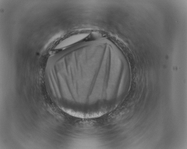 X0000088391351200706191322