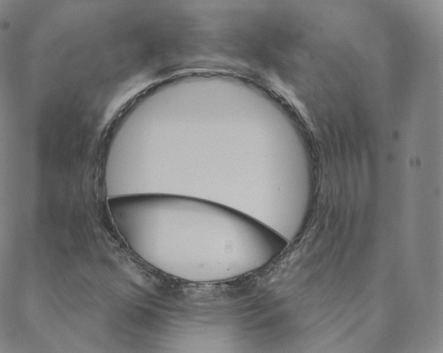 X0000088391352200706191322