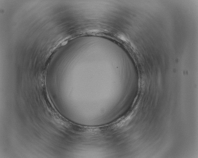 X0000088391353200706191322