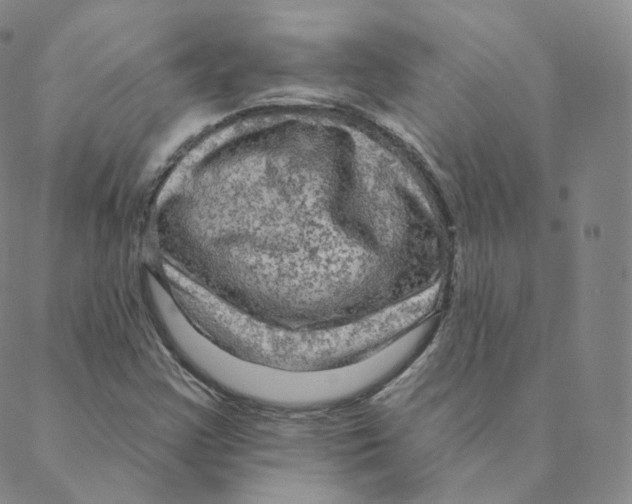 X0000088391355200706191322