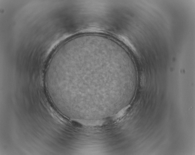 X0000088391356200706191322