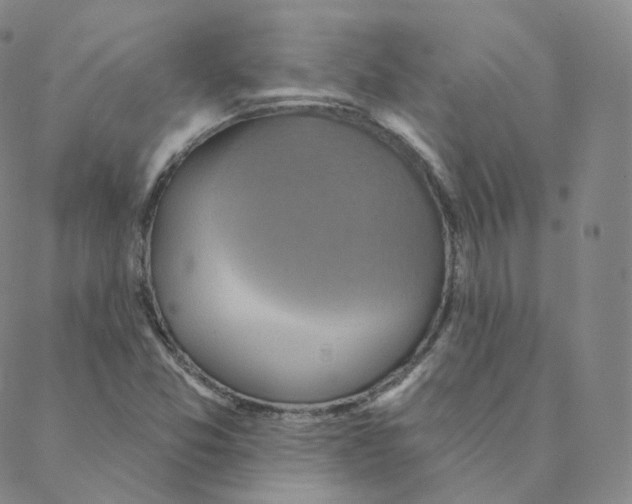 X0000088391357200706191322