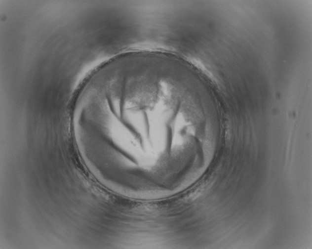 X0000088391358200706191322