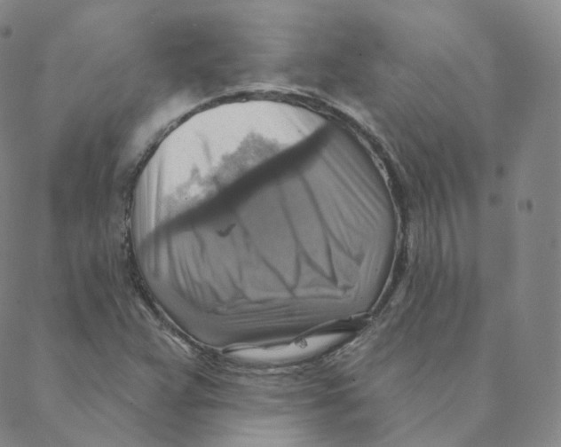 X0000088391359200706191322