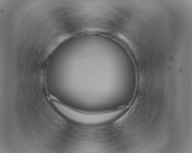 X0000088391361200706191322