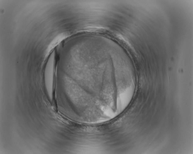 X0000088391362200706191322