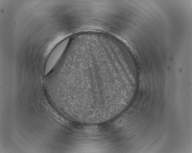 X0000088391363200706191322