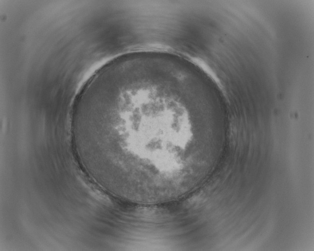 X0000088391364200706191322