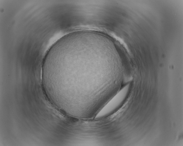 X0000088391365200706191322