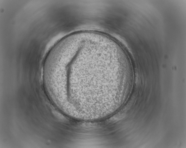 X0000088391366200706191322