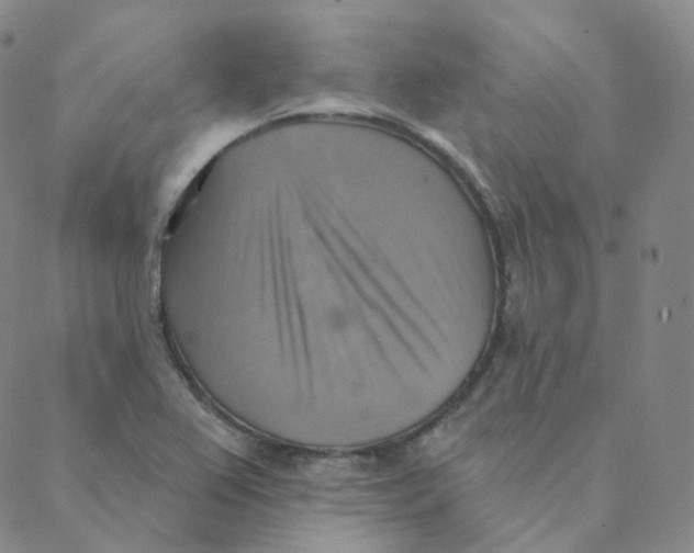 X0000088391367200706191322