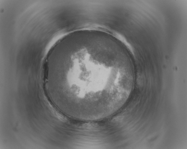 X0000088391368200706191322