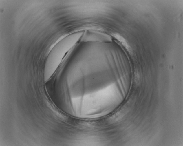 X0000088391369200706191322