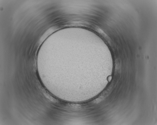 X0000088391370200706191322