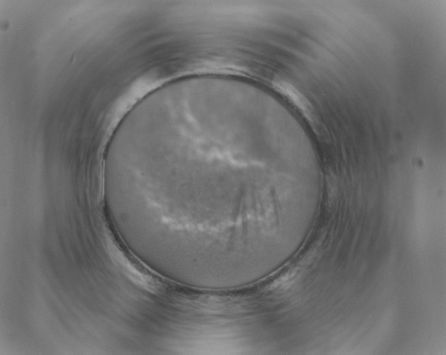 X0000088391371200706191322