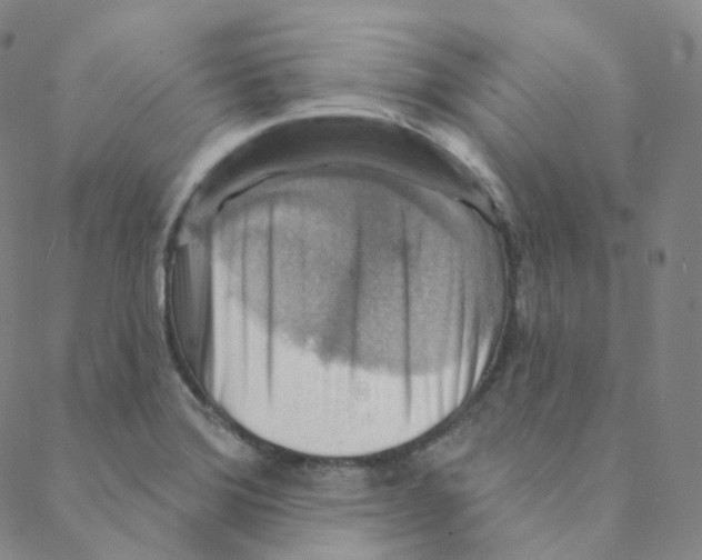 X0000088391372200706191322