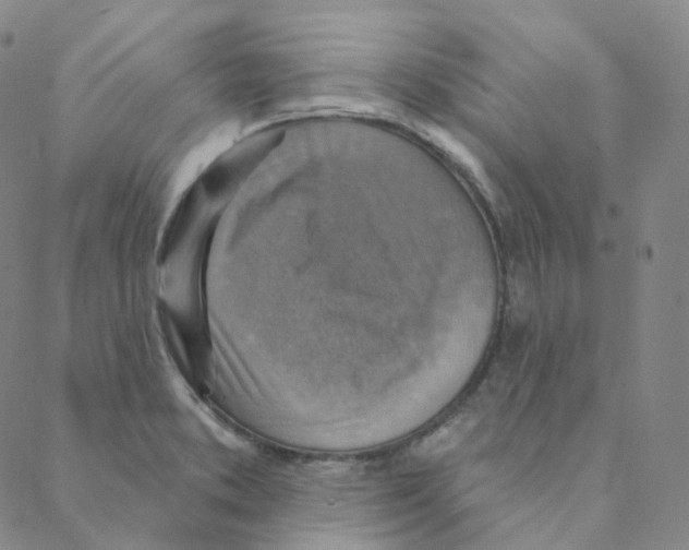 X0000088391373200706191322