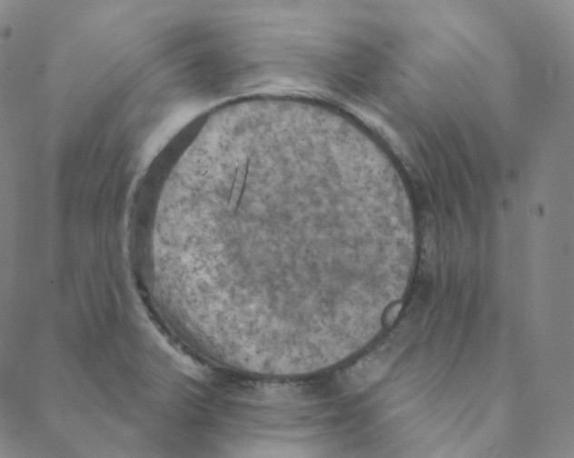 X0000088391375200706191322