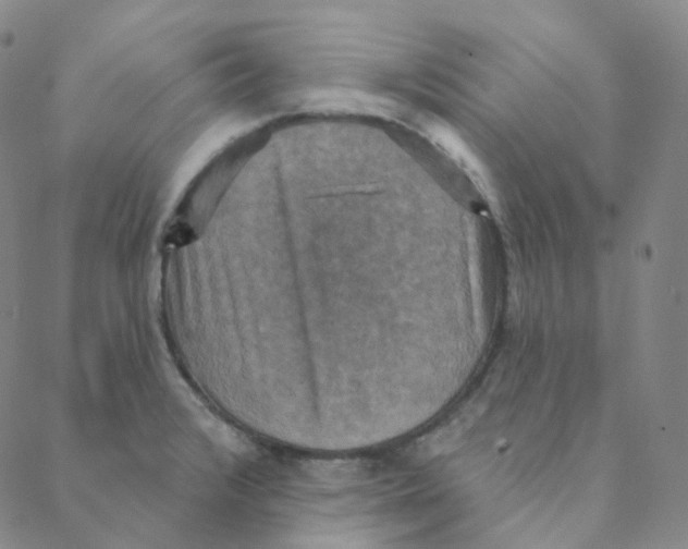 X0000088391376200706191322