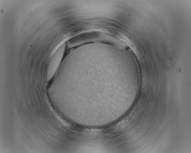 X0000088391377200706191322