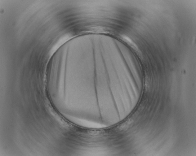 X0000088391378200706191322