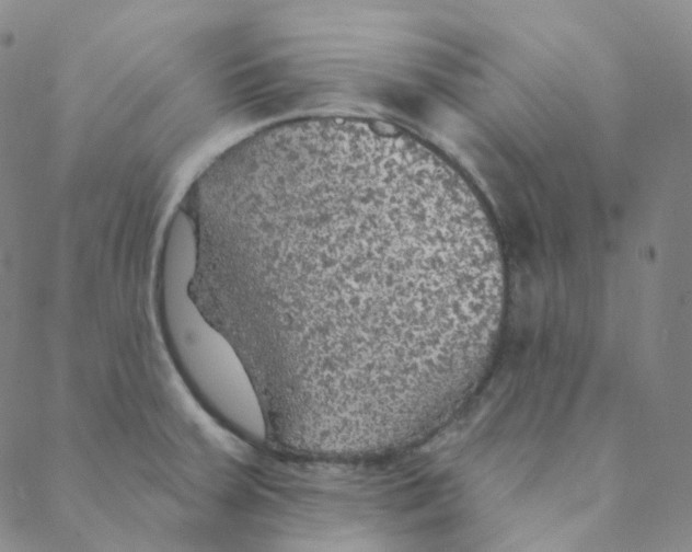 X0000088391379200706191322