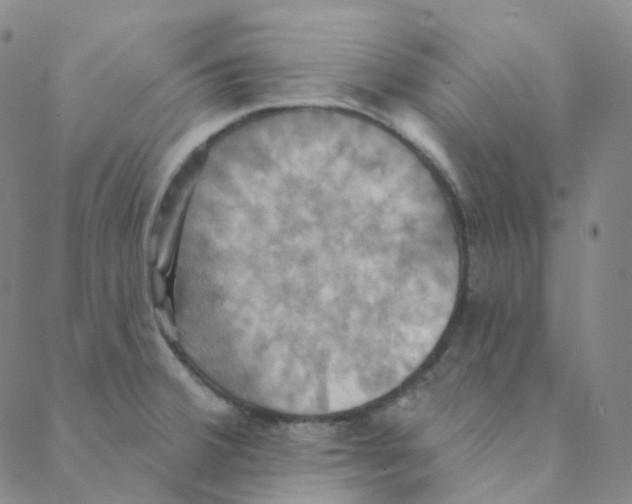 X0000088391380200706191322