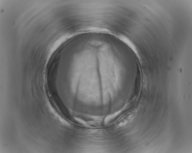 X0000088391381200706191322