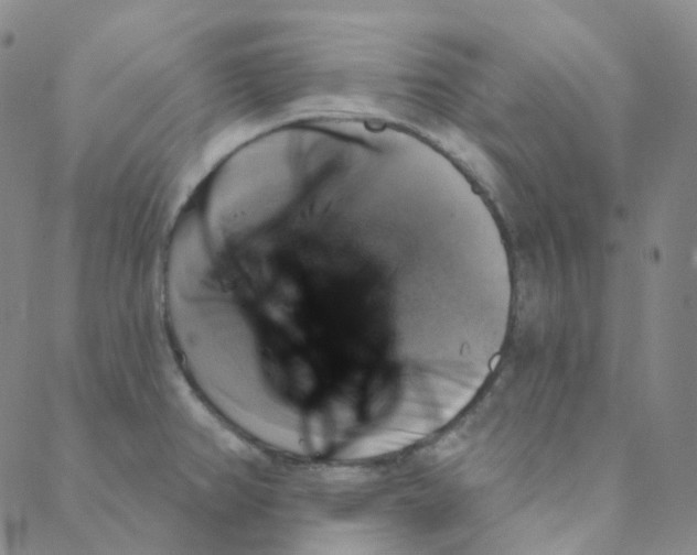 X0000088391382200706191322