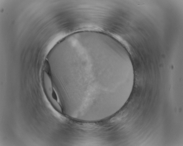 X0000088391383200706191322