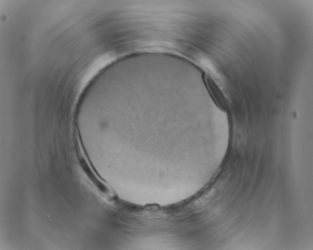 X0000088391384200706191322