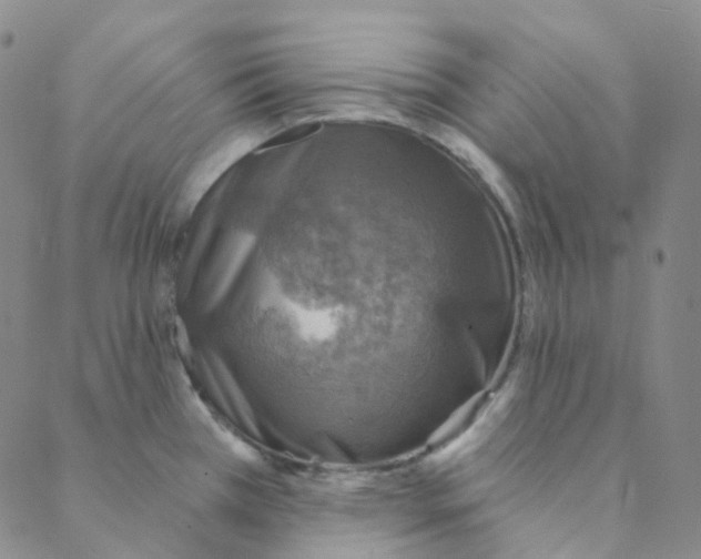 X0000088391385200706191322