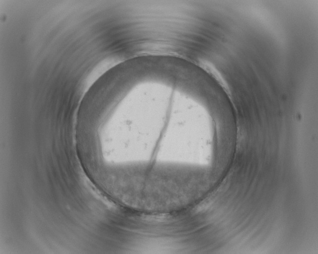 X0000088391386200706191322