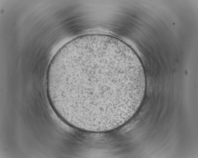 X0000088391387200706191322