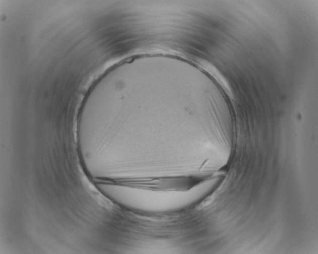 X0000088391388200706191322