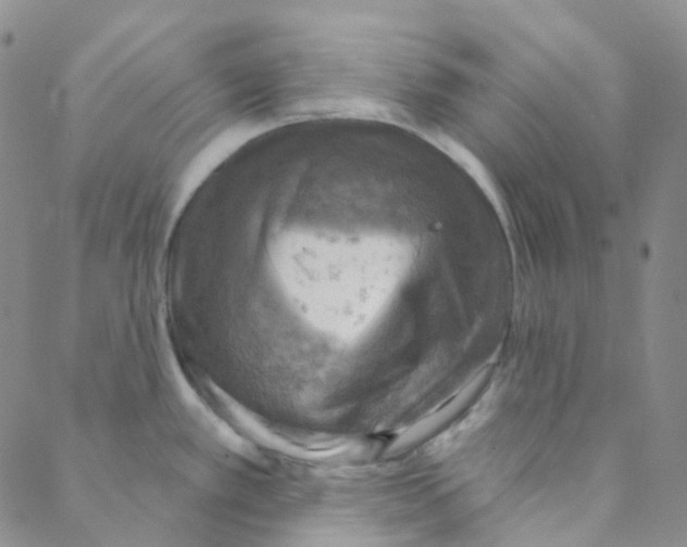 X0000088391389200706191322