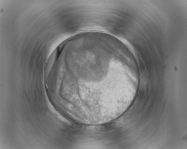 X0000088391390200706191322