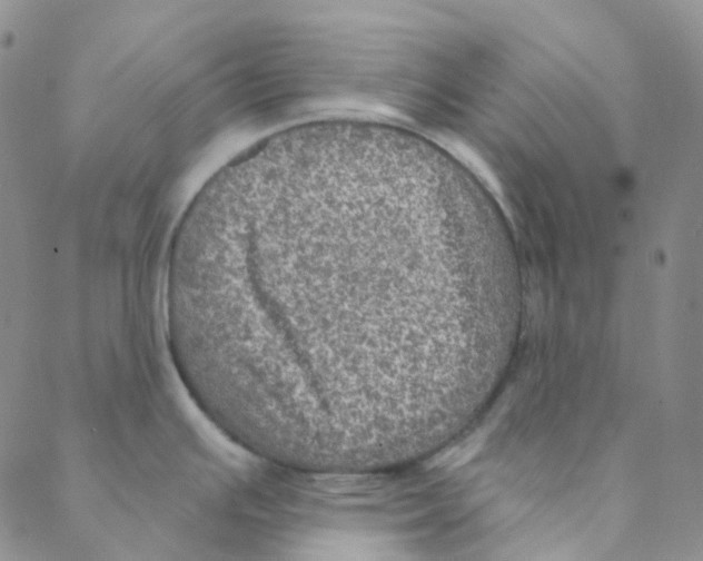 X0000088391391200706191322