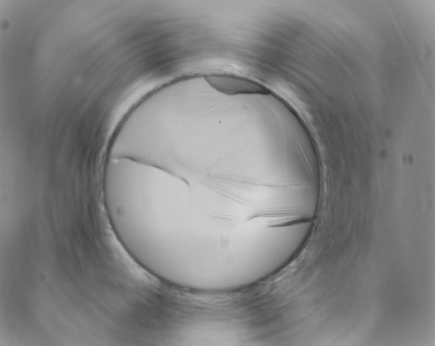 X0000088391392200706191322