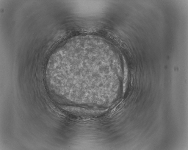 X0000088391393200706191321