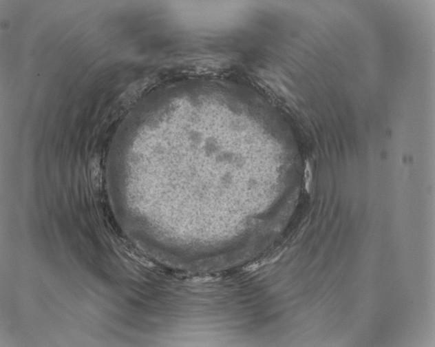 X0000088391395200706191321