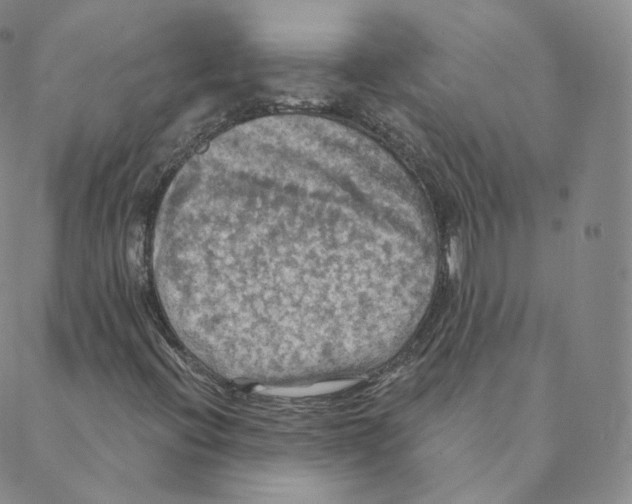 X0000088391396200706191321