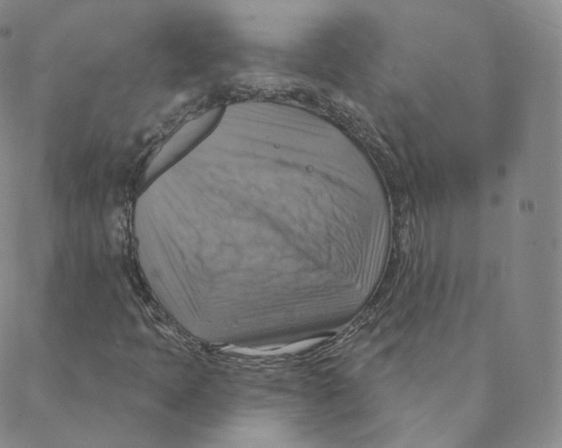 X0000088391397200706191321