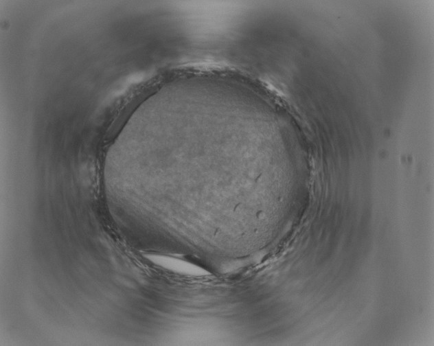 X0000088391398200706191321