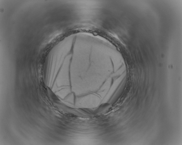 X0000088391399200706191321