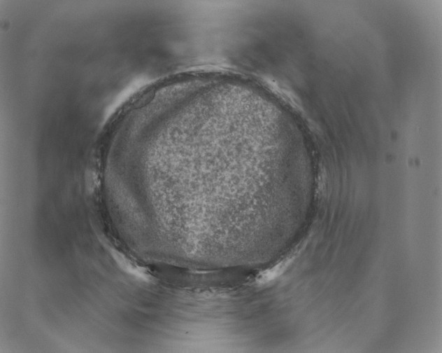 X0000088391400200706191321