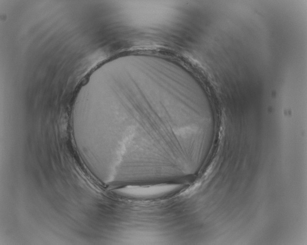 X0000088391401200706191321